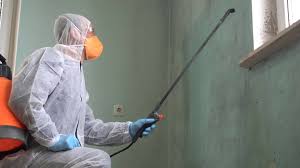 Best Biohazard Mold Removal  in Taunton, MA